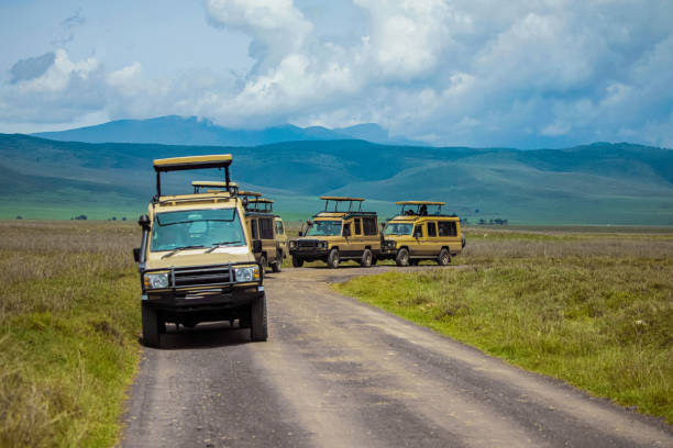   Best Transport for Safari in Tanzania 2026–2027 